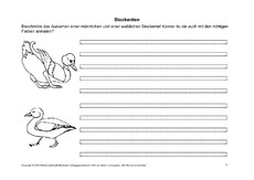 Arbeitsblätter-Stockente-1-6.pdf